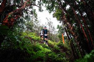 BIB: 
                            <button type="button" onclick="openModal(26202547)" class="btn btn-primary btn-sm float-right btn-popup" data-toggle="modal" data-target=".modal-high-quality">
                        <i class="fas fa-shopping-cart"></i> Add to Cart
                    </button>
                                            <button type="button" onclick="isThisMe(26202547, true)" class="btn btn-success btn-sm float-right btn-popup btn-isme hidden" data-toggle="tooltip" data-placement="bottom" title="นี่คือรูปของคุณใช่ไหม คลิกที่นี่เพื่อเอาเข้าอัลบั้ม">
                        <i class="fas fa-plus"></i> Add to album
                    </button>
                    <button type="button" onclick="isThisMe(26202547, false)" class="btn btn-warning btn-sm float-right btn-popup btn-isnotme hidden">
                        <i class="fas fa-ban"></i> Remove from album
                    </button>